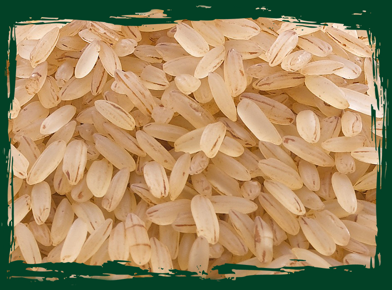 amma rice grains